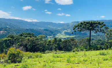 Terreno a Venda - Vista das Montanhas - Excelente Localizao