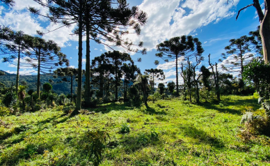 Terreno a Venda - Vista para as Montanhas - Serra Catarinense