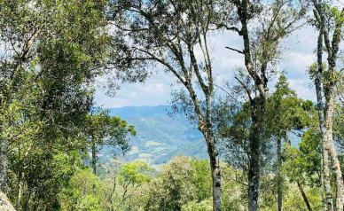 Terreno a Venda - Vista para as Montanhas - Urubici