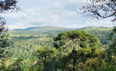 Terreno a Venda - Vista para o Vale 