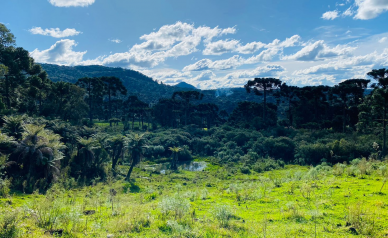 Terreno a Vendo - Linda Vista para o Vale e Montanhas