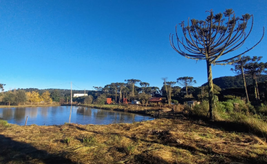 Terreno de dois hectares com casa e cabana  venda