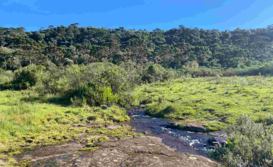 Terrreno  Venda  Mundo Novo 