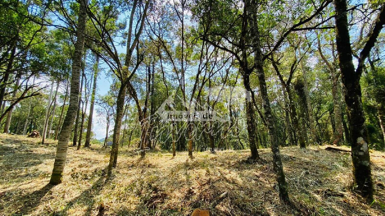 Sitio a Venda - Excelente Localizao - Vista das Montanhas 