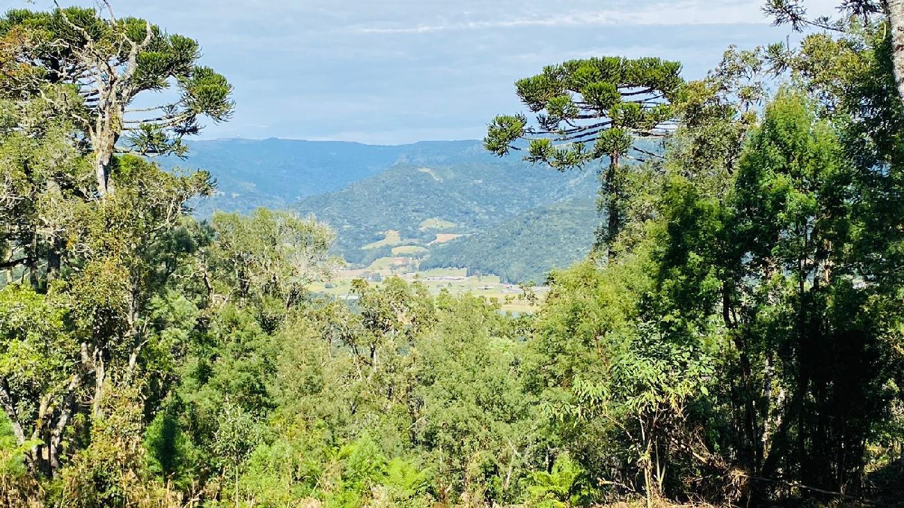 Sitio a Venda - Serra Catarinense - Vista para o Vale e Montanhas