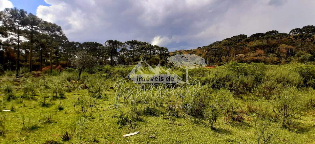 Sitio a Venda - Urubici - Serra Catarinense