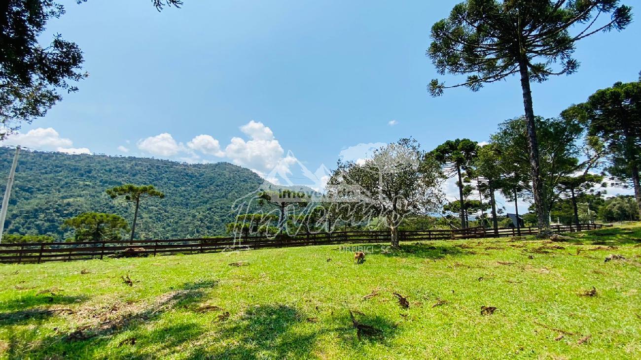 Stio a Venda - Urubici - Serra Catarinense - Excelente Localizao