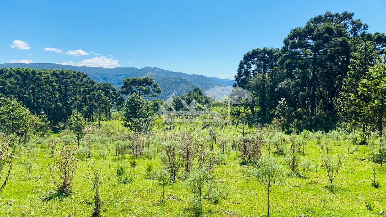 Stio a Venda - Urubici - Serra Catarinense - Vista das Montanhas