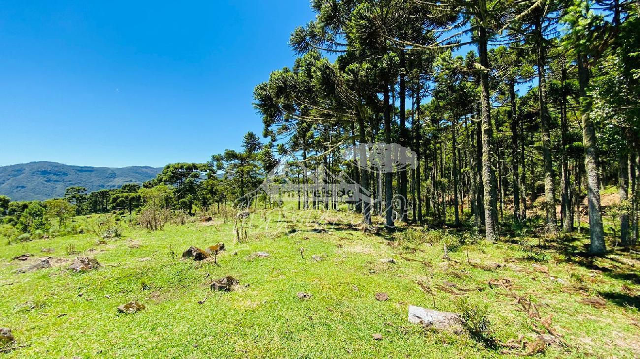 Stio a Venda - Urubici - Serra Catarinense - Vista das Montanhas