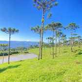 Chcara com 2 hectares no Morro da Igreja em Urubici