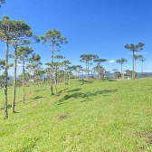 Chcara com 2 hectares no Morro da Igreja em Urubici