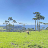 Chcara com 2 hectares no Morro da Igreja em Urubici