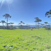 Chcara com 2 hectares no Morro da Igreja em Urubici