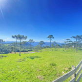 Chcara com 2 hectares no Morro da Igreja em Urubici