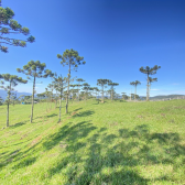 Chcara com 2 hectares no Morro da Igreja em Urubici