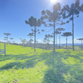 Chcara com 2 hectares no Morro da Igreja em Urubici