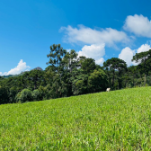 Sitio a Venda - Baiano - Urubici - Serra Catarinense