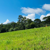 Sitio a Venda - Baiano - Urubici - Serra Catarinense