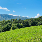 Sitio a Venda - Baiano - Urubici - Serra Catarinense