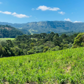 Sitio a Venda - Baiano - Urubici - Serra Catarinense