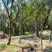 Sitio a Venda - Excelente Localizao - Vista das Montanhas 