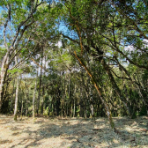 Sitio a Venda - Excelente Localizao - Vista das Montanhas 