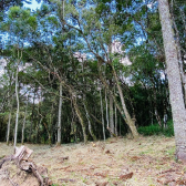 Sitio a Venda - Excelente Localizao - Vista das Montanhas 