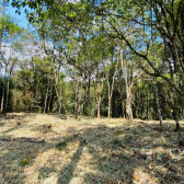 Sitio a Venda - Excelente Localizao - Vista das Montanhas 