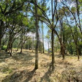 Sitio a Venda - Excelente Localizao - Vista das Montanhas 