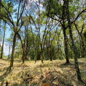 Sitio a Venda - Excelente Localizao - Vista das Montanhas 