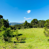 Sitio a Venda - Serra Catarinense - Excelente Localizao