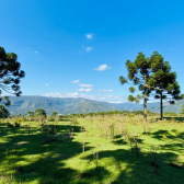 Sitio a Venda - Serra Catarinense - Excelente Localizao