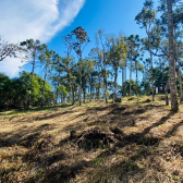 Sitio a Venda - Serra Catarinense - Vista para o Vale e Montanhas