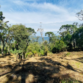 Sitio a Venda - Serra Catarinense - Vista para o Vale e Montanhas