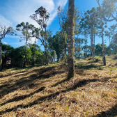 Sitio a Venda - Serra Catarinense - Vista para o Vale e Montanhas