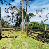 Sitio a Venda - Serra Catarinense - Vista para o Vale e Montanhas