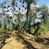 Sitio a Venda - Serra Catarinense - Vista para o Vale e Montanhas