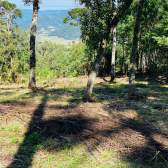 Sitio a Venda - Serra Catarinense - Vista para o Vale e Montanhas