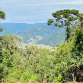 Sitio a Venda - Serra Catarinense - Vista para o Vale e Montanhas