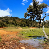 Sitio a Venda - Urubici - Serra Catarinense