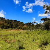 Sitio a Venda - Urubici - Serra Catarinense