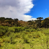 Sitio a Venda - Urubici - Serra Catarinense