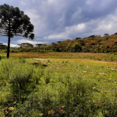 Sitio a Venda - Urubici - Serra Catarinense