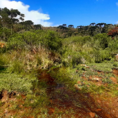 Sitio a Venda - Urubici - Serra Catarinense