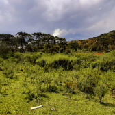 Sitio a Venda - Urubici - Serra Catarinense