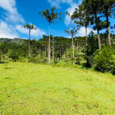 Sitio a Venda - Urubici - Serra Catarinense