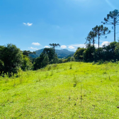 Sitio a Venda - Urubici - Serra Catarinense