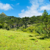 Sitio a Venda - Urubici - Serra Catarinense