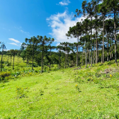 Sitio a Venda - Urubici - Serra Catarinense