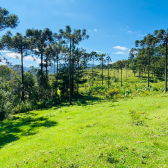 Sitio a Venda - Urubici - Serra Catarinense